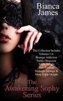 Awakening Sophy: The Boxed Set Books 1-6 1494465175 Book Cover