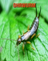 Ohrwurm: Sch�ne Bilder & Kinderbuch mit interessanten Fakten �ber Ohrwurm B096LS2NHY Book Cover