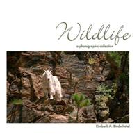Wildlife : A Photographic Collection 1518652743 Book Cover