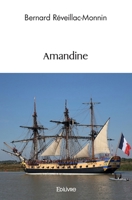 Amandine (French Edition) 2414577061 Book Cover