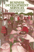 Business Development Services: A review of international experience 1853395064 Book Cover