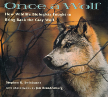 Once A Wolf: How Wildlife Biologists Fought to Bring Back the Gray Wolf 0395898277 Book Cover