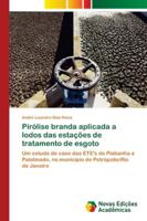 Pirólise branda aplicada a lodos das estações de tratamento de esgoto: Um estudo de caso das ETE's do Piabanha e Palatinado, no município de Petrópolis/Rio de Janeiro 620204005X Book Cover