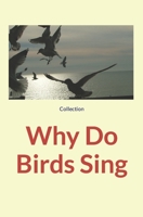 Why Do Birds Sing 2384690310 Book Cover