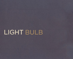 Jasper Johns: Light Bulb 0934418691 Book Cover