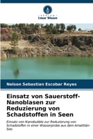 Einsatz von Sauerstoff-Nanoblasen zur Reduzierung von Schadstoffen in Seen 620697815X Book Cover