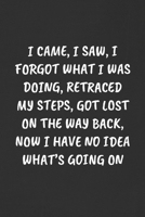 I Came, I Saw, I Forgot What I Was Doing, Retraced My Steps, Got Lost on the Way Back, Now I Have No Idea What's Going on: Sarcastic Humor Blank Lined Journal - Funny Black Cover Gift Notebook 1089111517 Book Cover