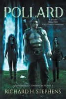 Pollard: Epic Fantasy Series 1989257305 Book Cover
