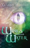 Wings Beneath Water 0989200132 Book Cover