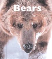 Bears (Naturebooks) 1567665853 Book Cover