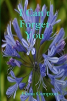I Can't Forget You 1329053389 Book Cover