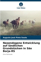 Neoendogene Entwicklung auf ländlichen Grundstücken in São Borja-RS (German Edition) 6208626439 Book Cover