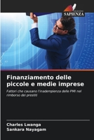 Finanziamento delle piccole e medie imprese (Italian Edition) 6208264820 Book Cover