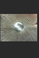 The Initiates 1093142286 Book Cover