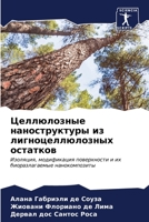 ??????????? ????????????? ?? ???????????????? ????????: ????????, ??????????? ??????????? ? ?? ?????????????? ????????????? (Russian Edition) 6204605445 Book Cover
