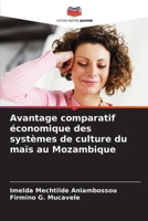 Avantage comparatif économique des systèmes de culture du maïs au Mozambique (French Edition) 6208522161 Book Cover