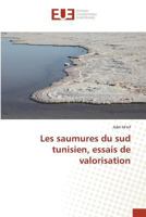 Les Saumures Du Sud Tunisien, Essais de Valorisation 3841676820 Book Cover