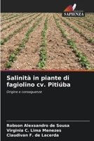 Salinità in piante di fagiolino cv. Pitiúba (Italian Edition) 6208536340 Book Cover