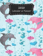 2020 Calendar & Planner: Dolphins Premium 2020 Calendar For Animal Lovers Everywhere Academic Planner & Scheduler 1708132740 Book Cover