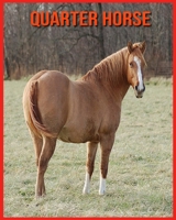 Quarter Horse: Images Etonnantes & Informations Amusantes Concernant les Animaux dans la Nature B08WJW8VPS Book Cover