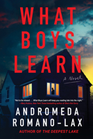 What Boys Learn 1641296917 Book Cover