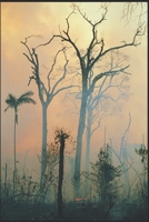 DIAMOND IN THE FOREST B0B8VNSPLF Book Cover