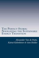 The Perfect Storm: Navigating the Sustainable Energy Transition 1546984127 Book Cover