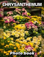 Chrysanthemum Photo Book: Stunning Floral Imagery of Chrysanthemums to Brighten Any Space with 40 Captivating Photos B0DPT733RG Book Cover