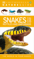 Nature Guide: Snakes and Other Reptiles and Amphibians 1465421033 Book Cover