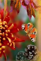 Autumn Art: Notebook 1973789175 Book Cover