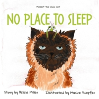 No Place to Sleep 1990336388 Book Cover