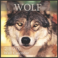 Wolf 2021 Wall Calendar: Animal Calendars, "8.5x8.5" Inch, 16 Month with Official Holidays B08MSS9DFZ Book Cover