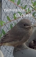 raivostua 1.1: eXposts (German Edition) 3819295984 Book Cover