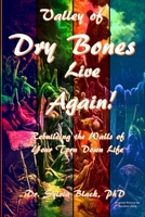 Valley of Dry Bones Live Again Rebuilding the Walls of Your Torn Down Life 0359631428 Book Cover