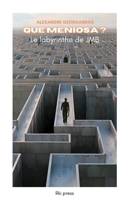 Que meniosa ?: Le labyrinthe de JMB (French Edition) B07J35G9W6 Book Cover