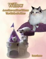 Willow: A mother and her kittens : The Birth of a Litter 1793327831 Book Cover
