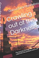 Crawling out of the Darkness: The journey through the Labyrinth into purpose and truth (The Reflections) B087SMHX21 Book Cover