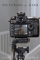 Picturing the Dark B0C128SZ79 Book Cover