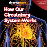 How Our Circulatory System Works 1641904364 Book Cover