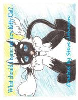 What should I name my new Kitty Cat?: "Kittys Gotta Name!" 1494280531 Book Cover