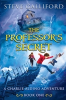 The Professor's Secret 0986645850 Book Cover