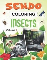 Sendo Coloring Insects Vol 1 B0BVNTYX2W Book Cover