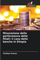 Misurazione della performance delle filiali: il caso delle banche in Etiopia (Italian Edition) 6207983122 Book Cover