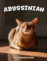Abyssinian Photography Book: Discover The Elegant World Of Abyssinian Cats Through Stunning Visuals And Graceful Portraits B0GSN6BYJ1 Book Cover