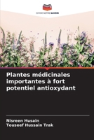 Plantes médicinales importantes à fort potentiel antioxydant (French Edition) 6207874129 Book Cover
