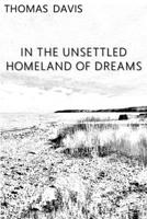 In the Unsettled Homeland of Dreams 1732723788 Book Cover