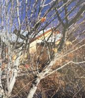 Roots Against the Sky: Photographs by David Whitmire Hearst Jr. 0982304641 Book Cover