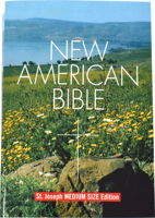 New American Bible: Revised Edition (NABRE)