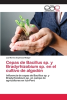 Cepas de Bacillus sp. y Bradyrhizobium sp. en el cultivo de algodón 3659071633 Book Cover