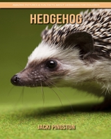 Hedgehog: Amazing Pictures & Fun Facts about Hedgehog for Children B084DH8CD1 Book Cover